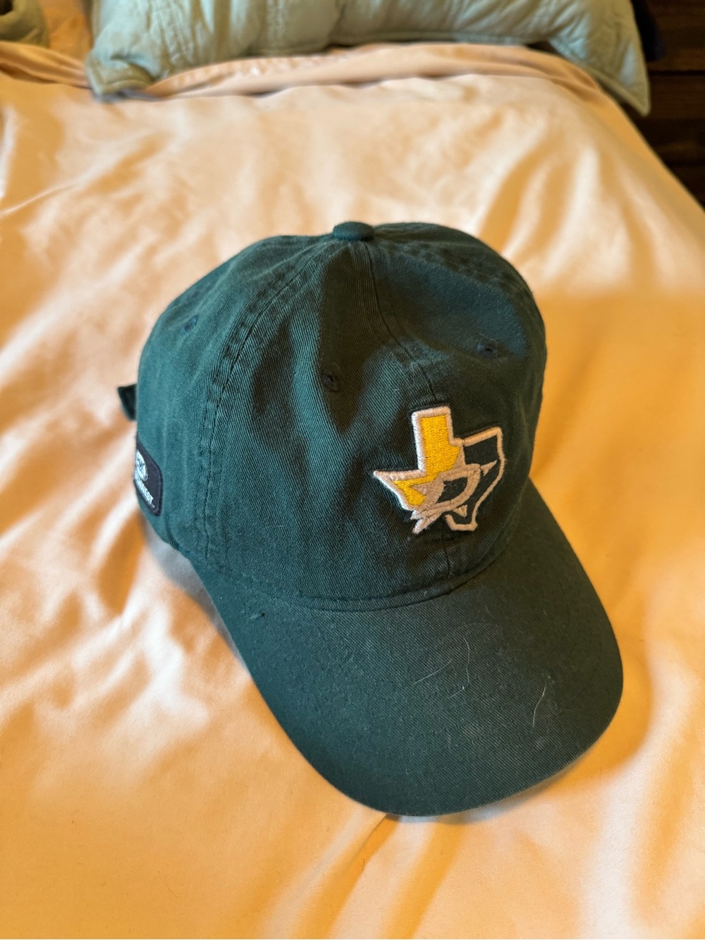 Dallas Stars x Baylor special ball cap